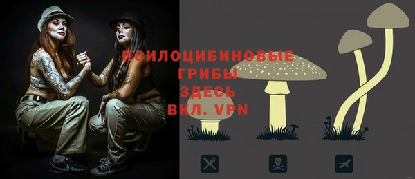 ГАЛЛЮЦИНОГЕННЫЕ ГРИБЫ Остров