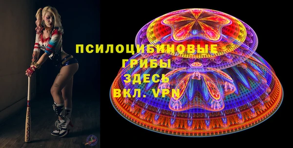 мет Алексин