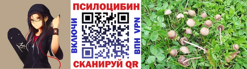 Псилоцибиновые грибы мухоморы  shop формула  Задонск 